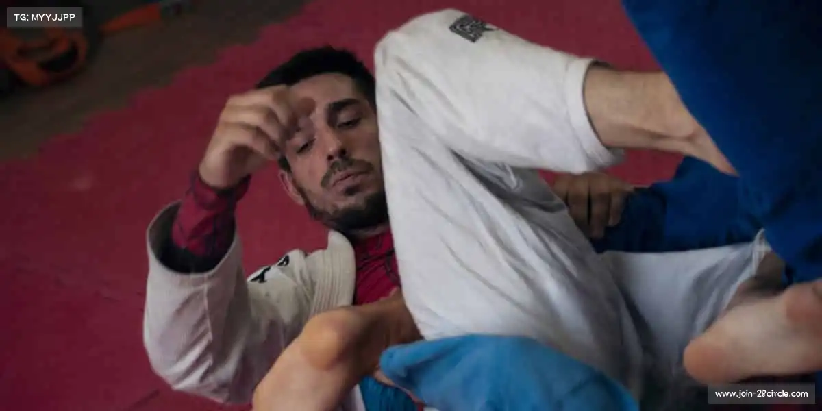 28圈网页版——跳跃吧，让世界看见你的高度！